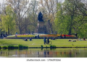 a herd of cattle grazing on a lush green field